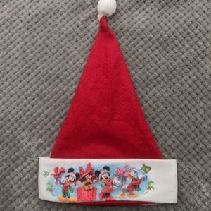 Disney Christmas Santa hat